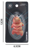 W034272
